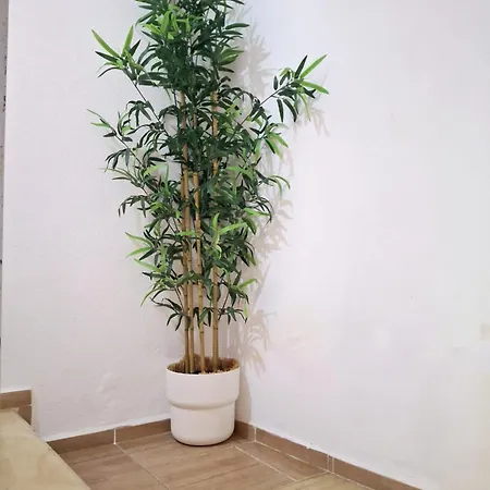 Detached Greek House In The Hearth Of Bazaar בית נופש